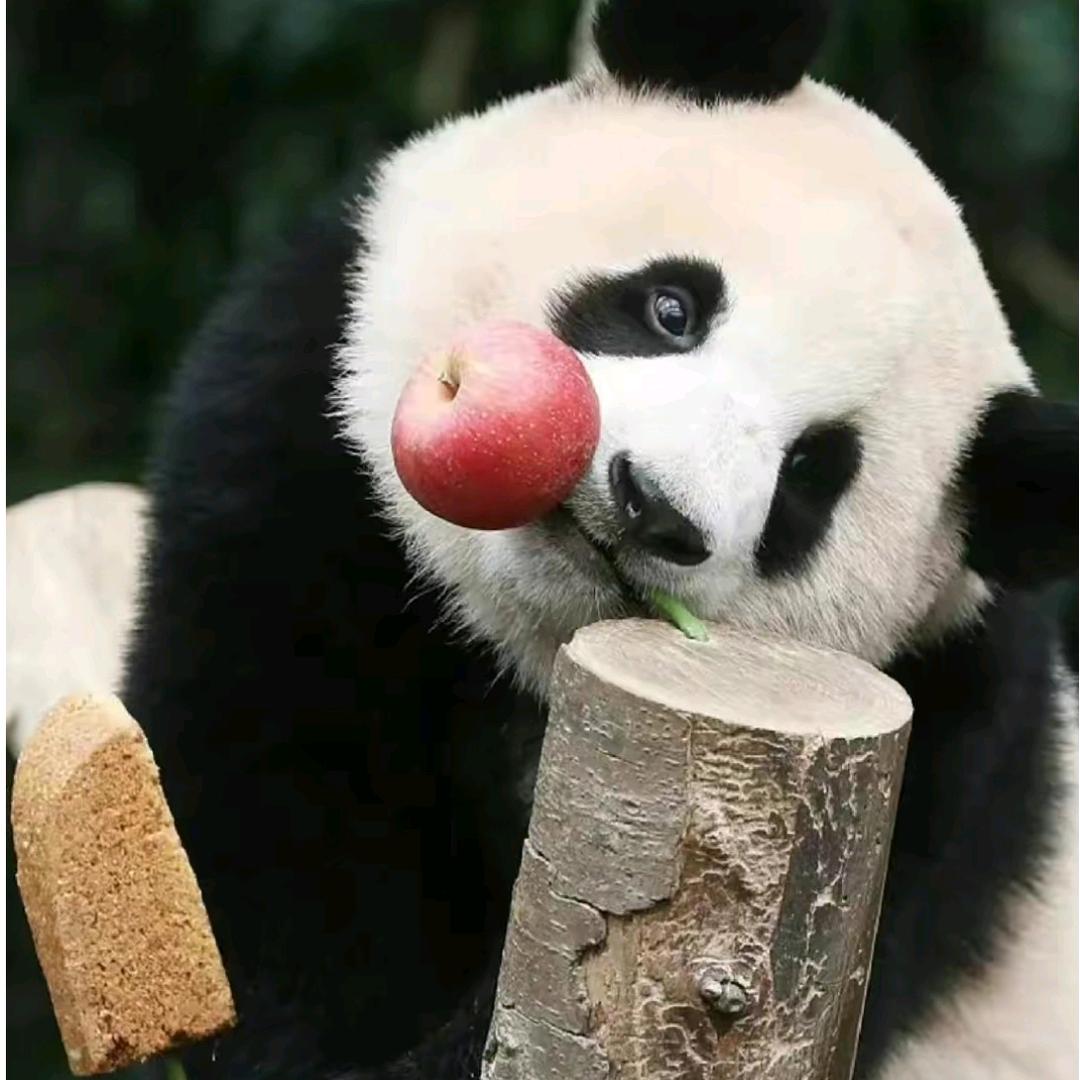 🌈时习之🌈