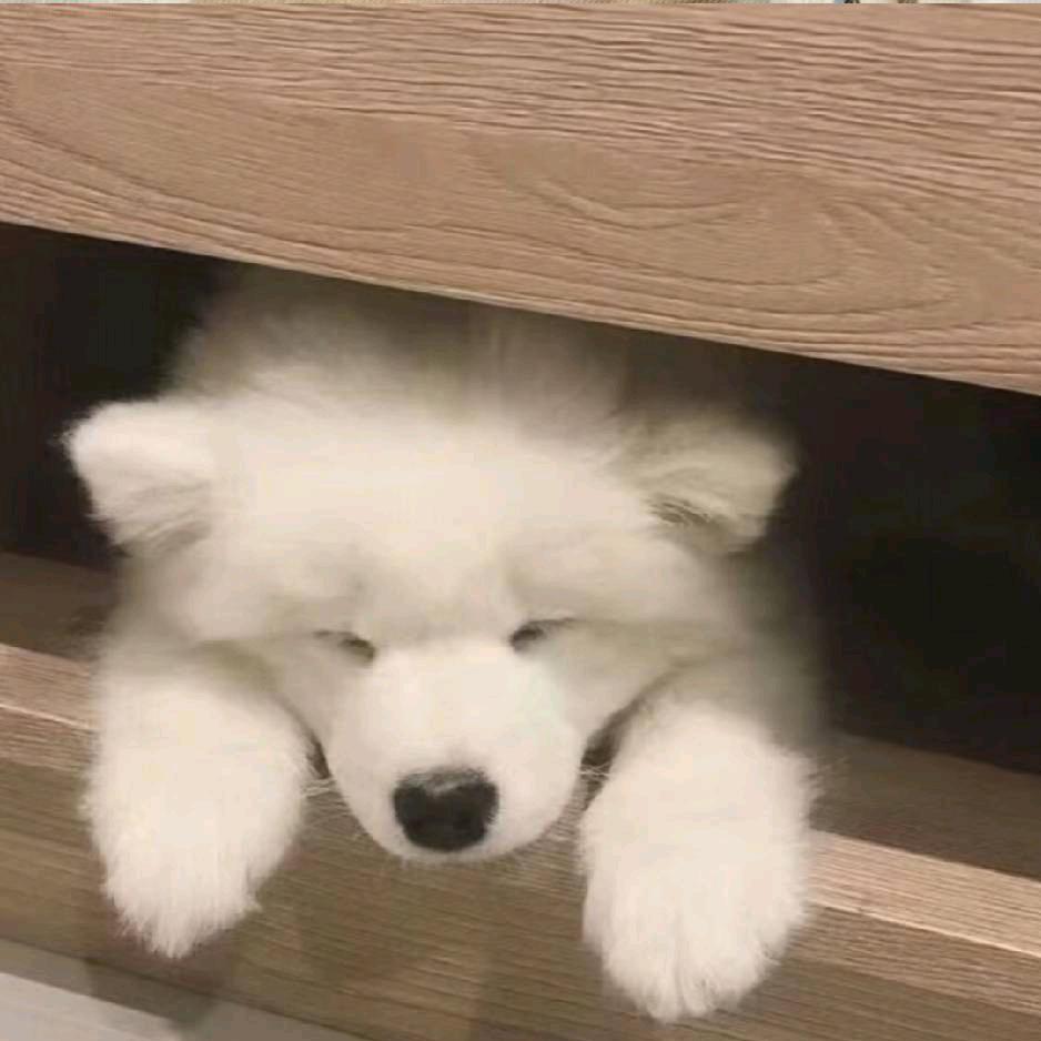 日落时ᵏⁱˢˢ♡♡♡