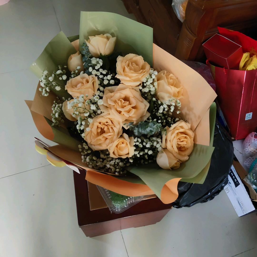 杨帆起航