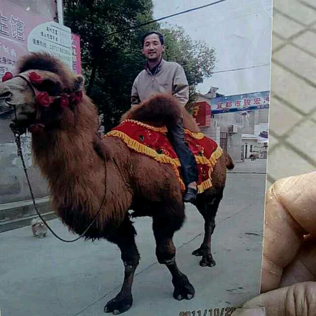 逢缘