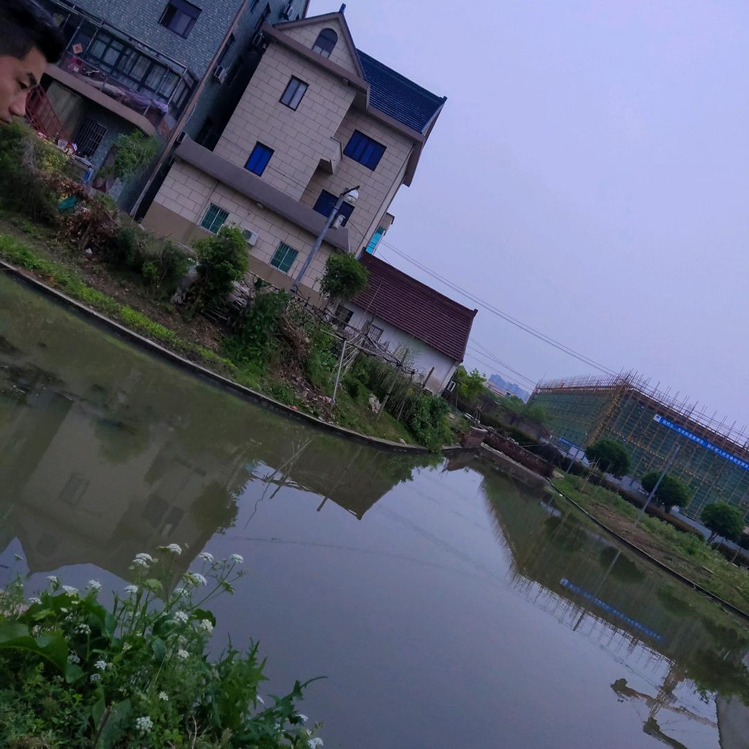 跑调姐