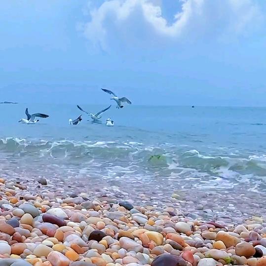 海无涯2