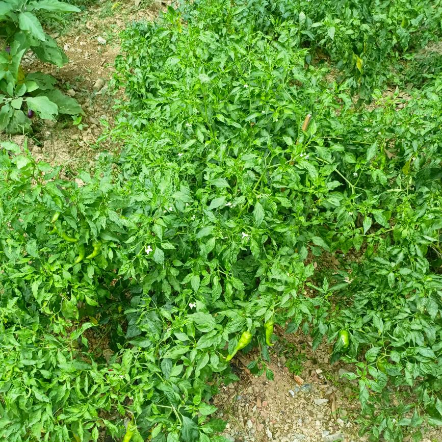 ꧁舒不起爱不起ℒℴѵℯ¹³¹⁴꧂