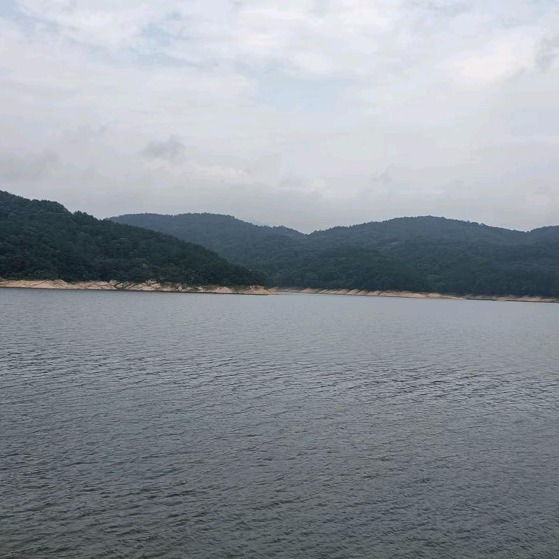 向阳而生