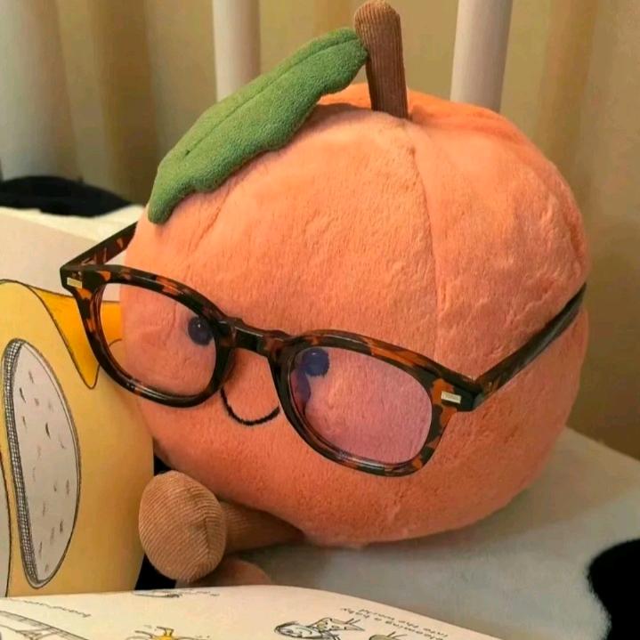 小小橘长说考公