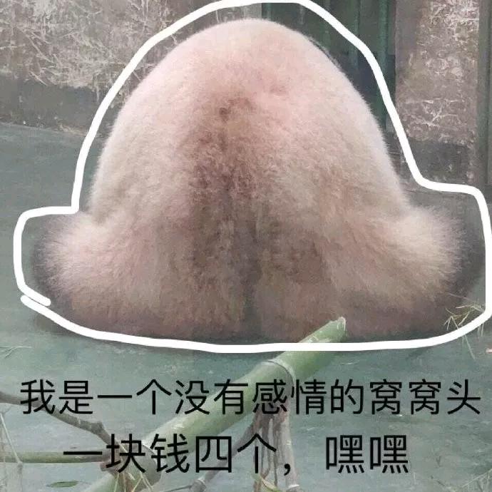 我只是一个莫得感 情的窝窝头头像