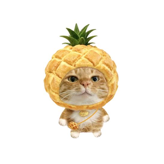 菠萝小猫崽