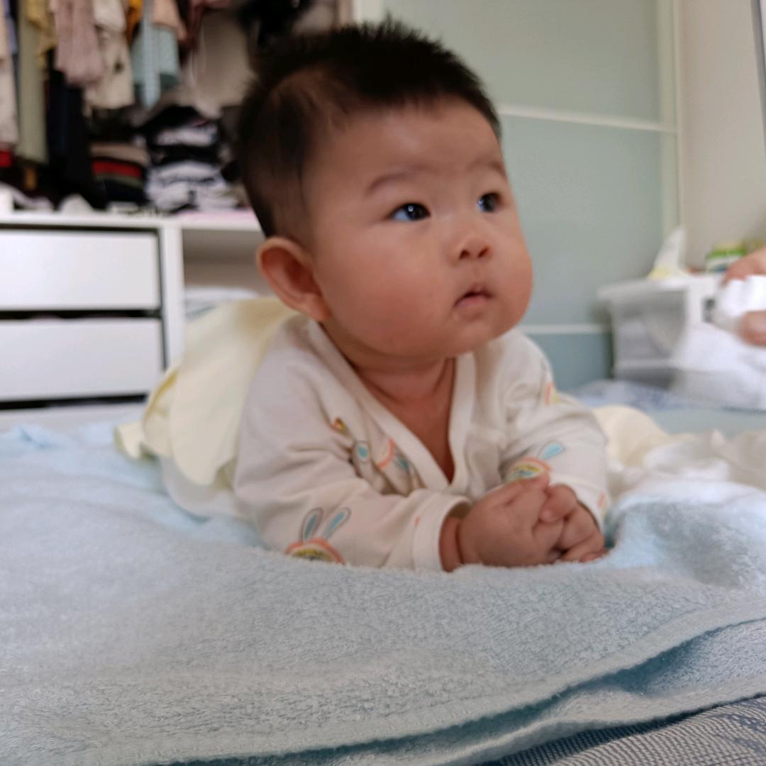 小吴家的赣南脐橙