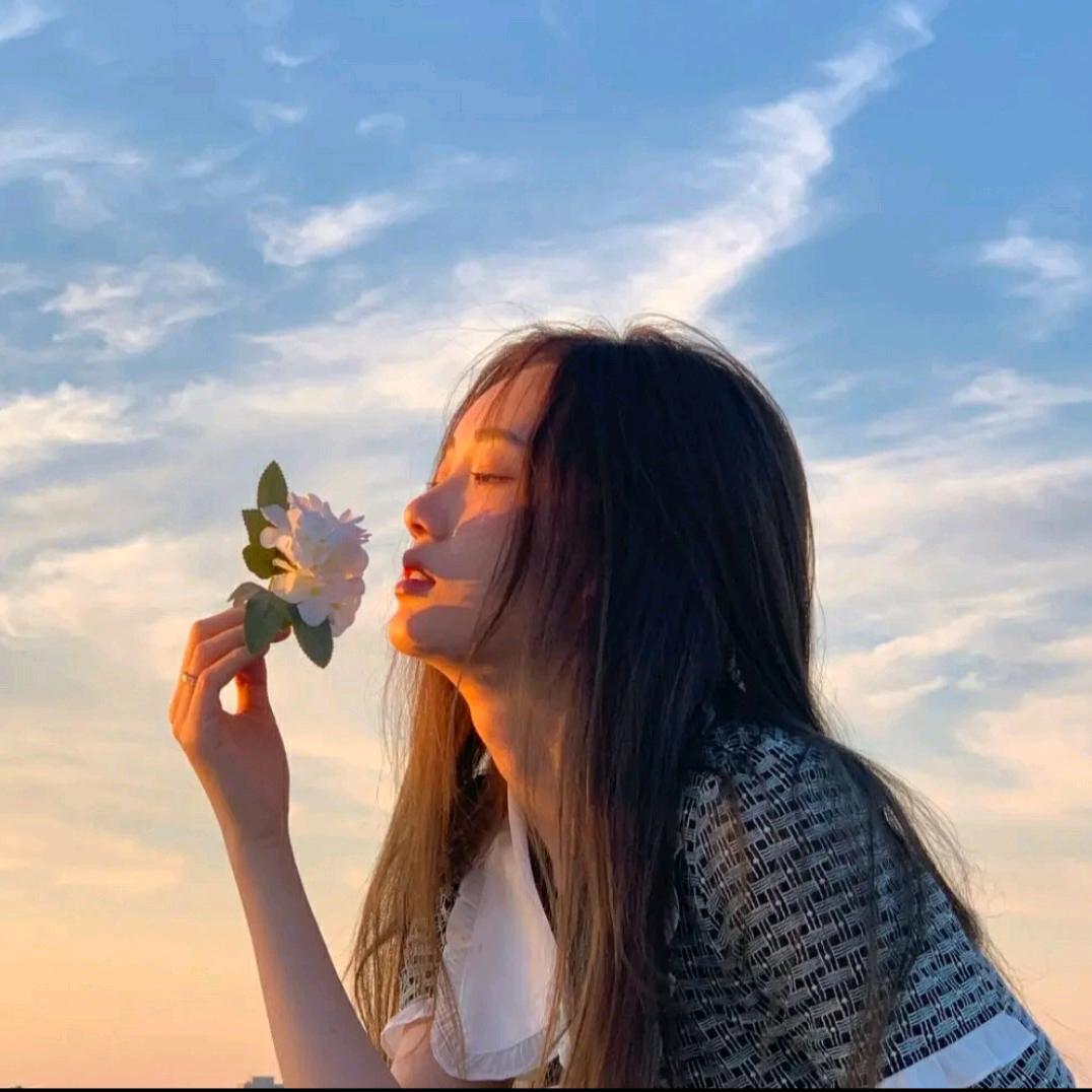 洛可可-