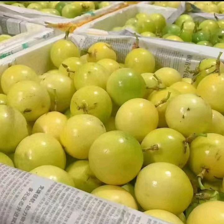 🧚懒人时代懒人经济🥬🍅🍅