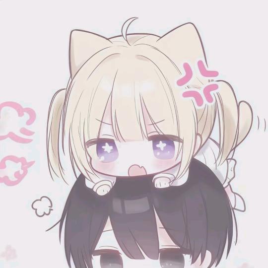 小陈皮头像