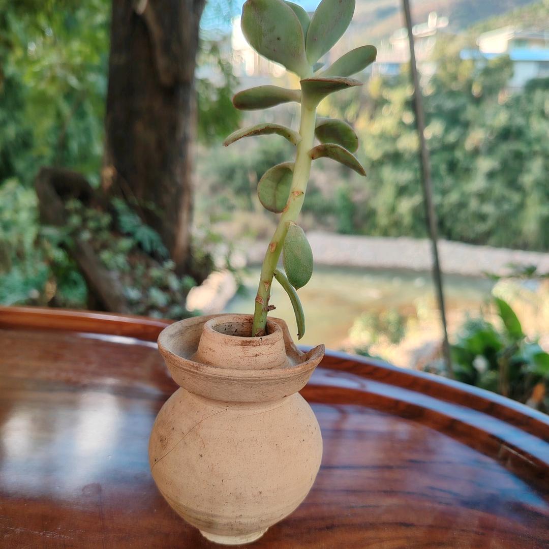 缺一角
