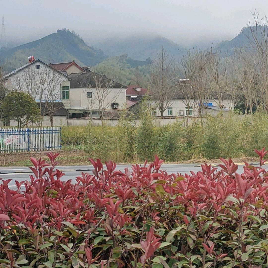 健哥烤鸭