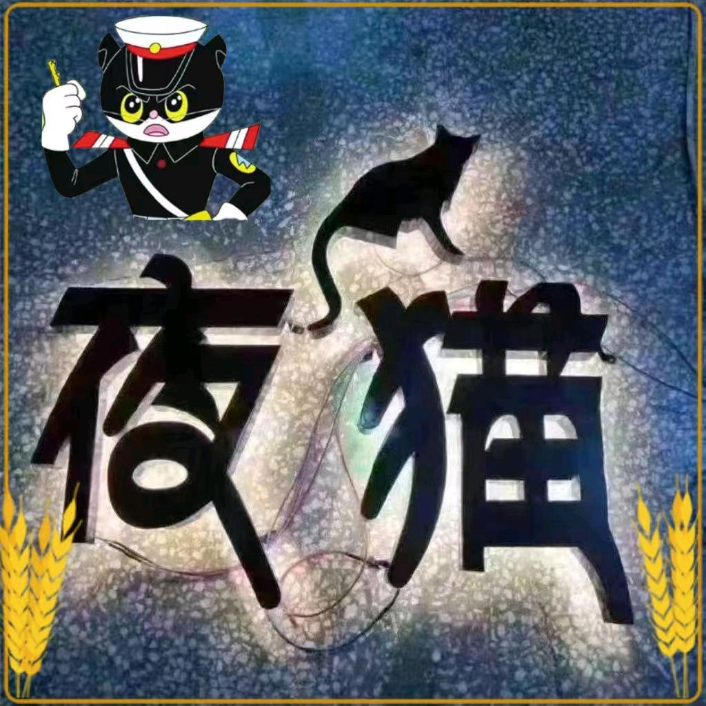飞猫联盟夜猫  看主页