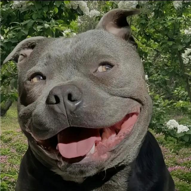 萧县老街坊菜馆