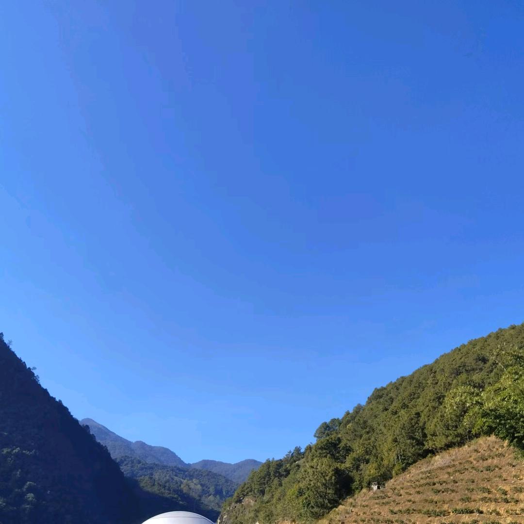 鲁智深