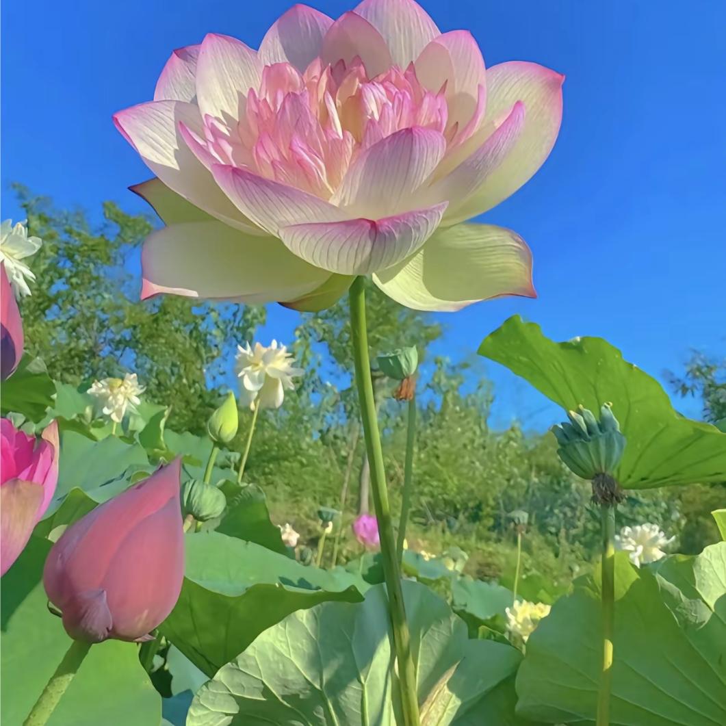 A东洪爱心养老院