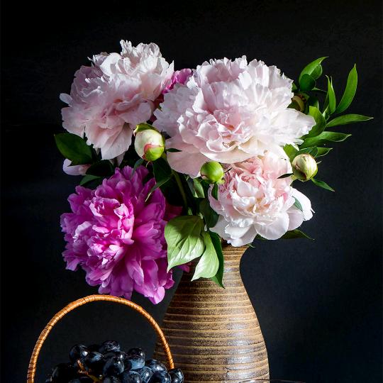 🌾彭然💓心动💓