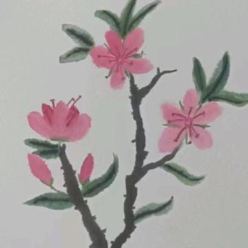 小猴紫故事汇