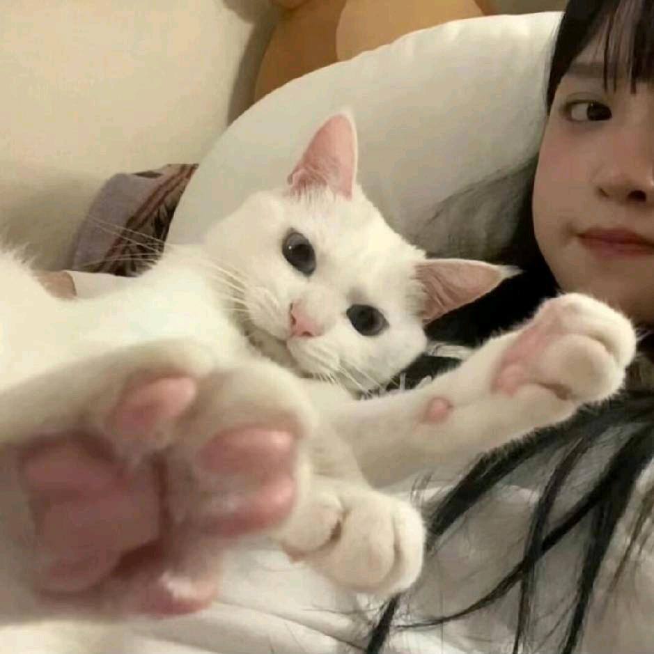 晚安