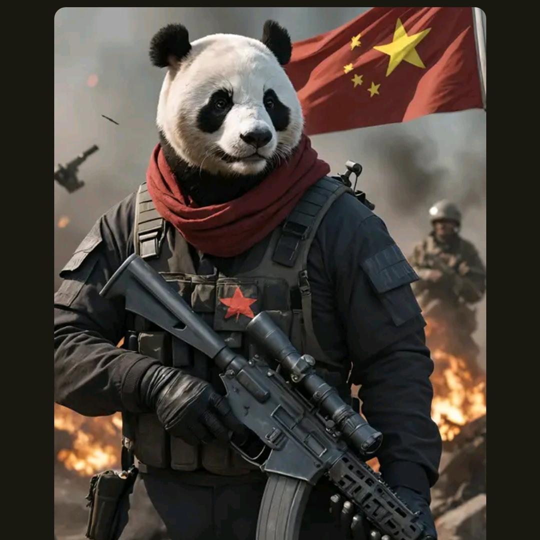 天蓬🐇宝