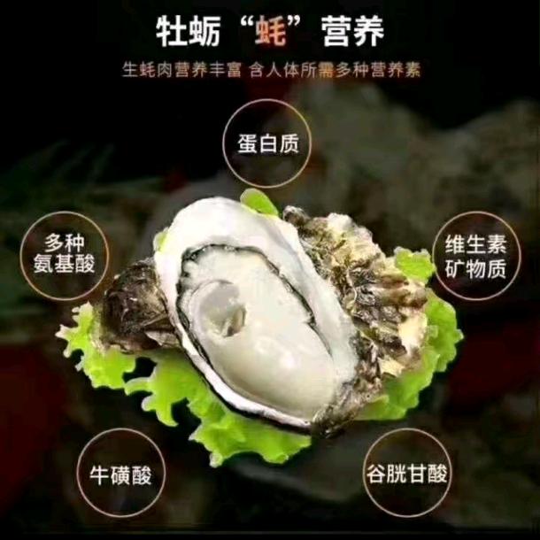 🌈蚝好吃