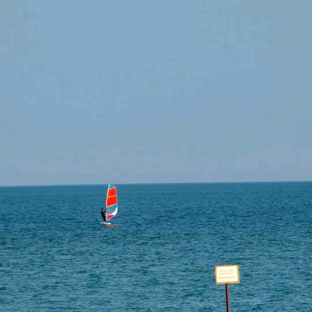流川枫7号