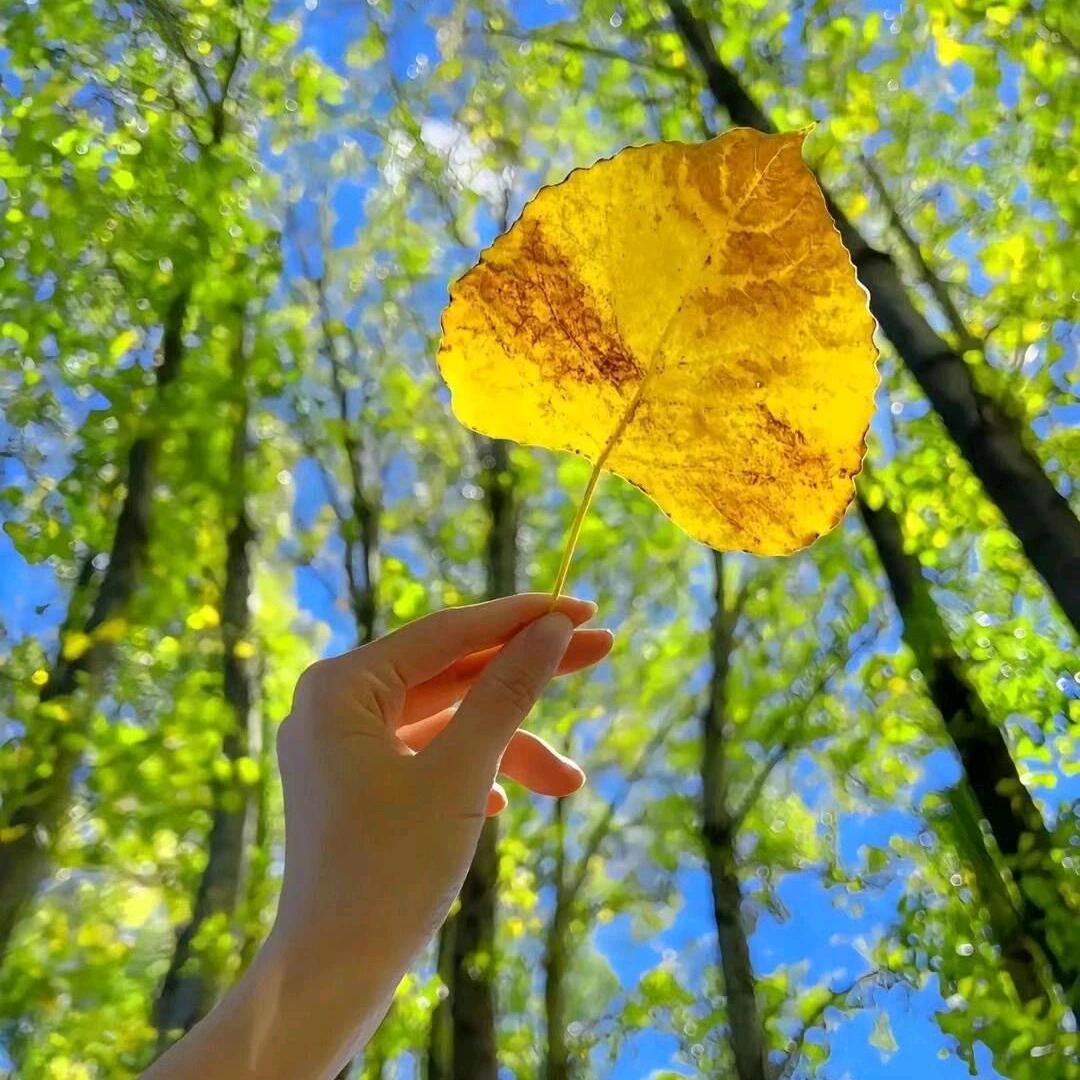 🕊ꦿ星辰大海꧔ꦿ᭄💞🕊