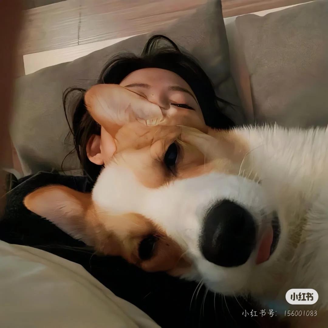 小猪胖ᶠᵁᶠᵁ