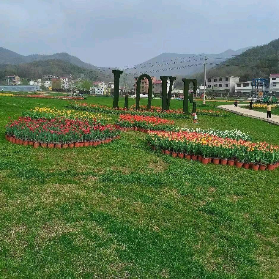 岁月静好@