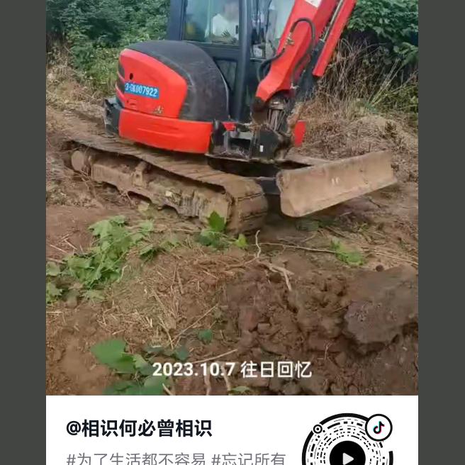 相识何必曾相识