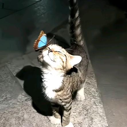 椰～