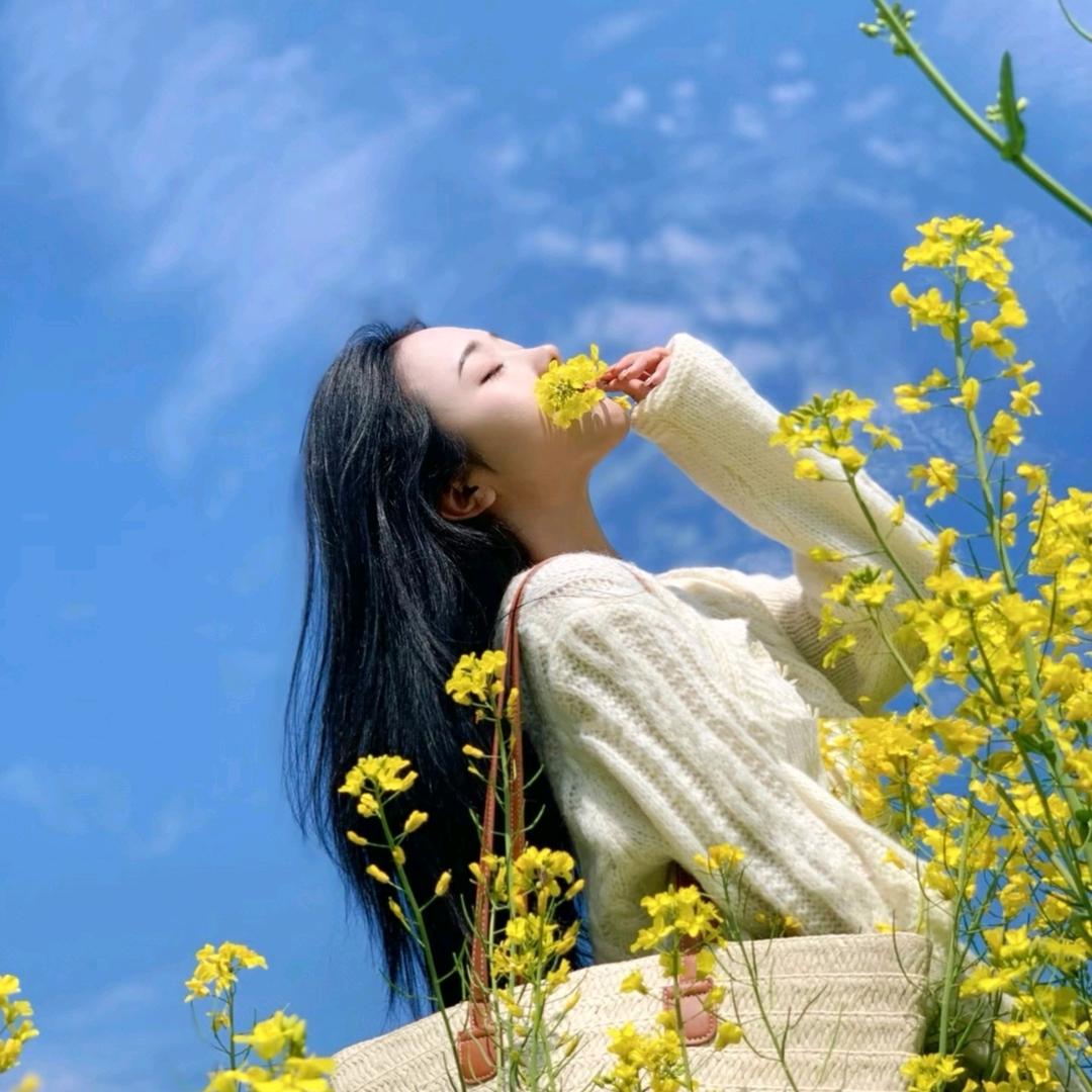 油菜花