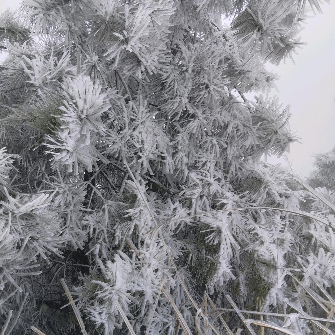借哥一点爱，让哥飘一下