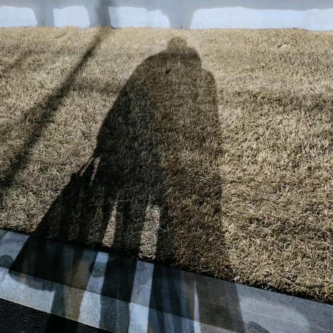珊珊是我宝