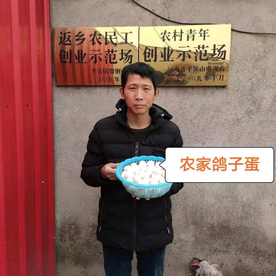 西平县兴良肉鸽养殖厂