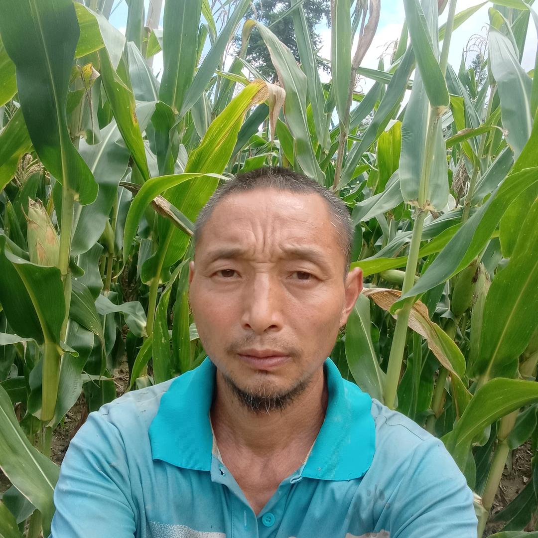 农村强哥