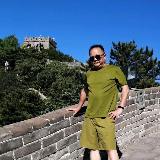 汉柏凌寒