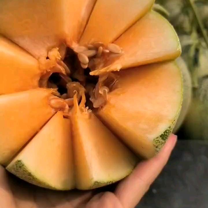 阿彩