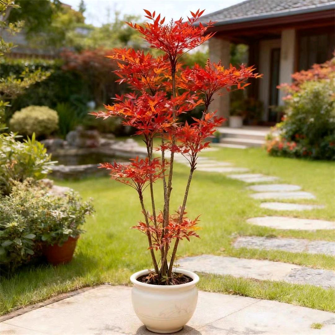 绿地仙林苗木臻选阁