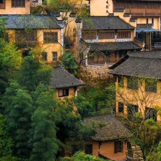 鱼离不开水