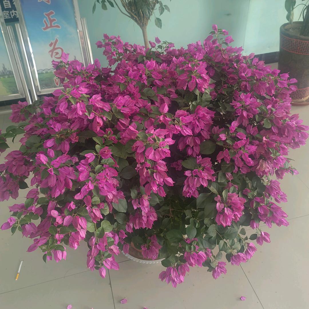 过程各有千秋