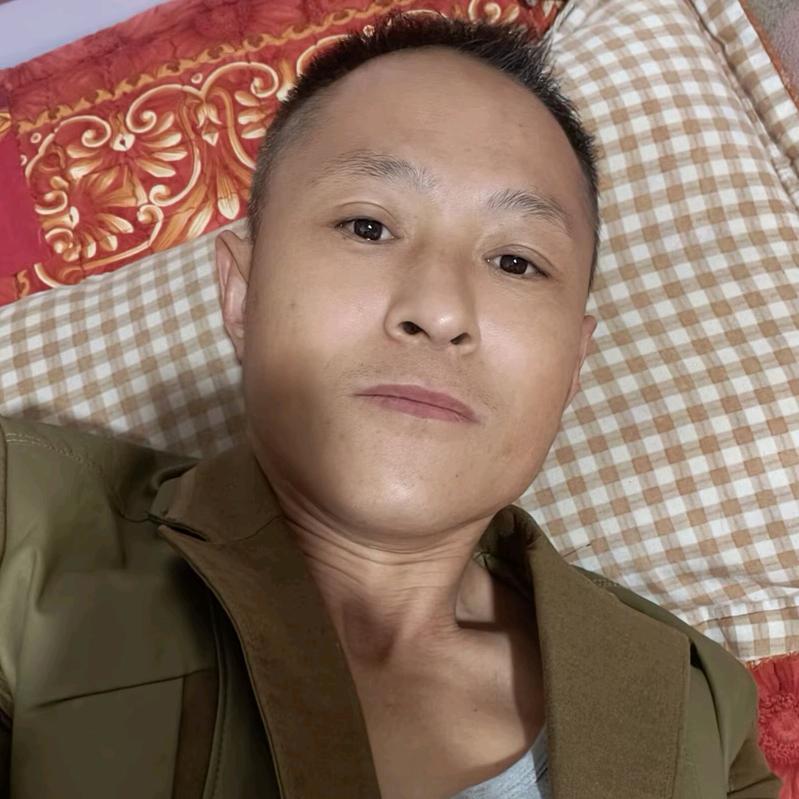 （刘海）唯有暗香来