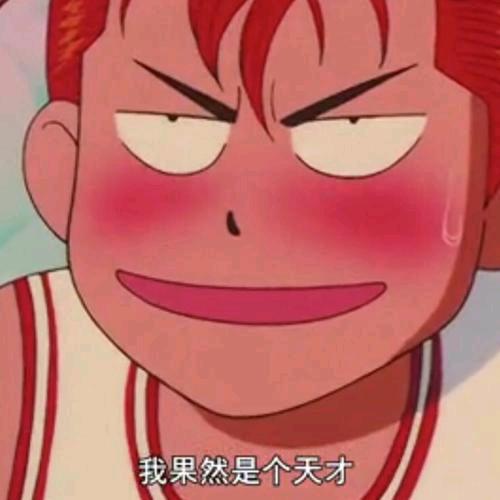 ㅤo▬▬l▅▅▅▅▅▅▆▆▇◤