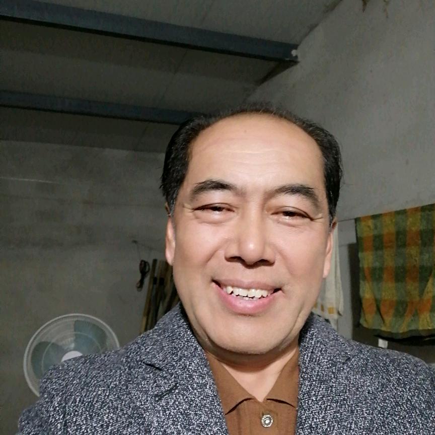 鸽子