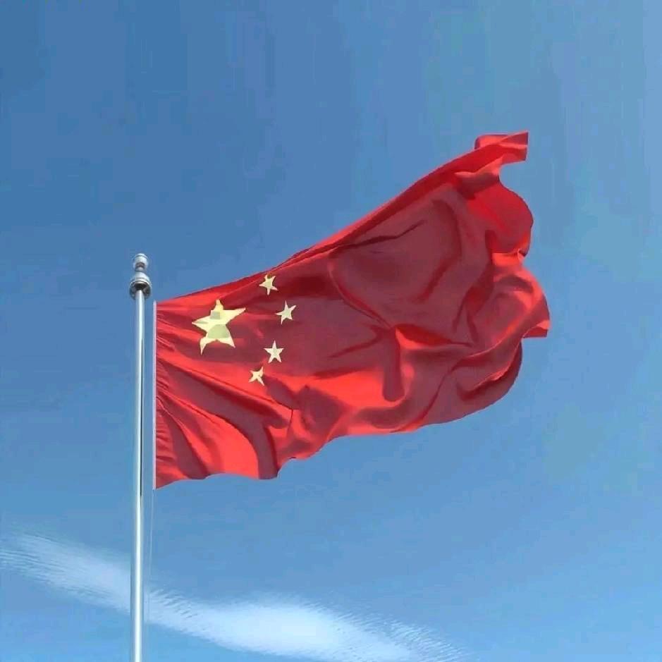 倚枫听雨🤗