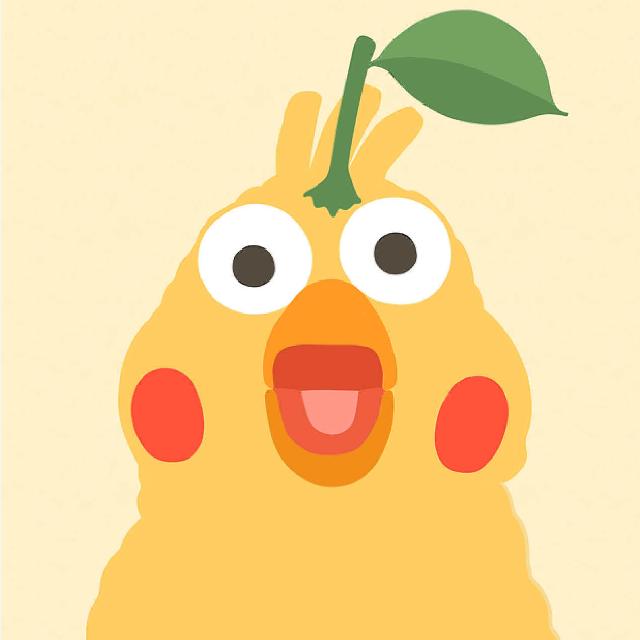 开心鹦鹉道格尔宠物用品专卖店