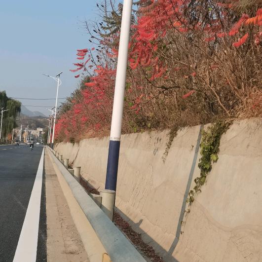 迷糊姐
