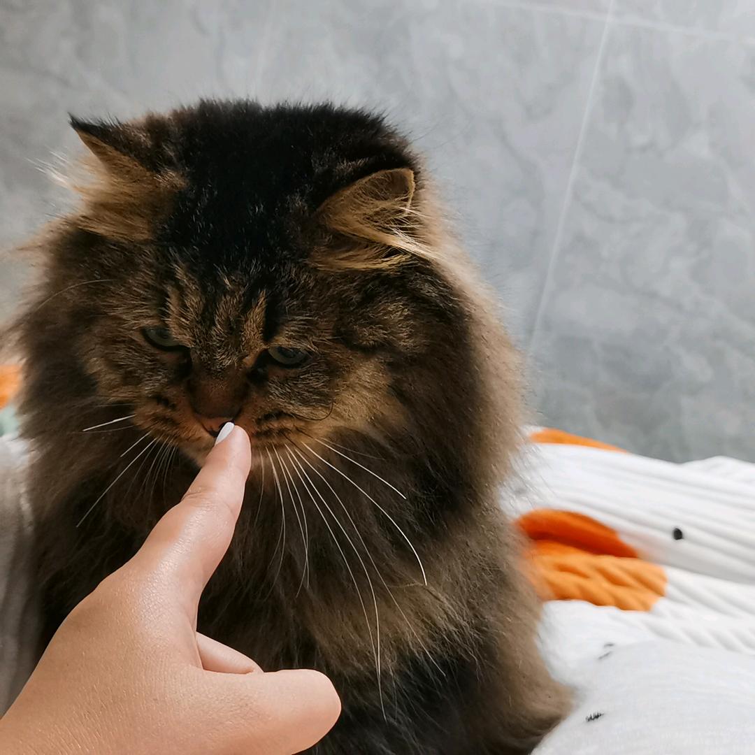 张来宝