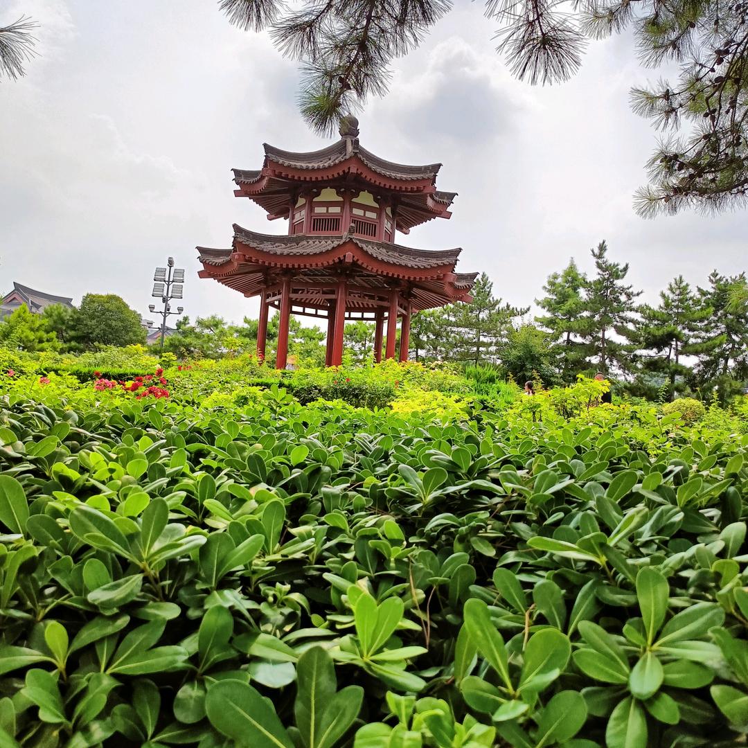 生活不易，干就完了